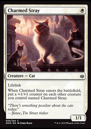 Charmed Stray (Verzauberter Streuner)